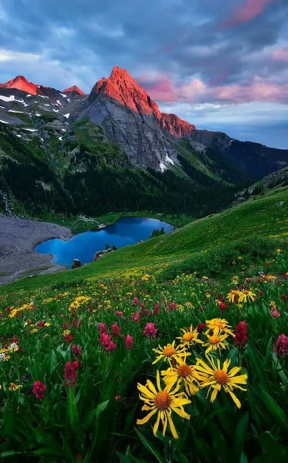 beautiful-nature-photos-10 Beautiful Nature Photos