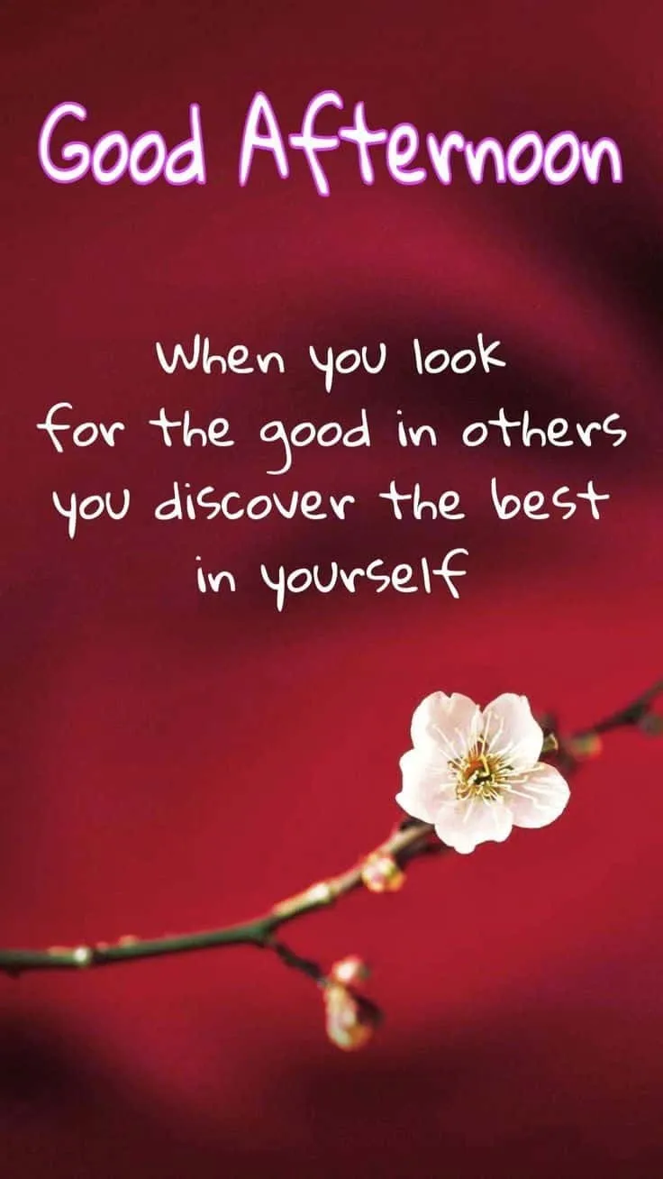 good-afternoon-images-with-quotes10 Good Afternoon Pic