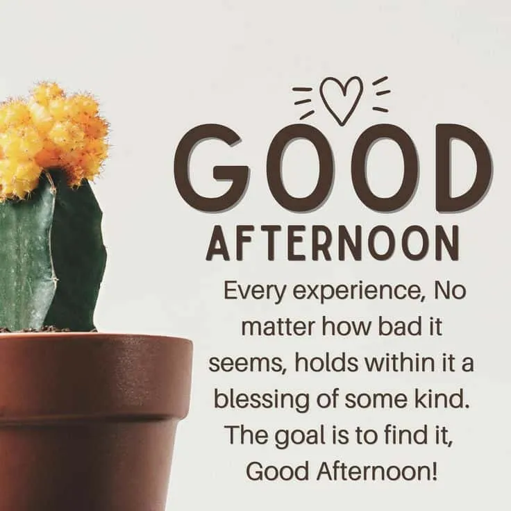 good-afternoon-images-with-quotes4 Good Afternoon Pic