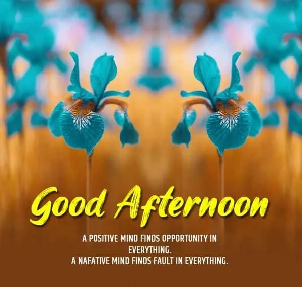 good-afternoon-images-with-quotes6 Good Afternoon Pic