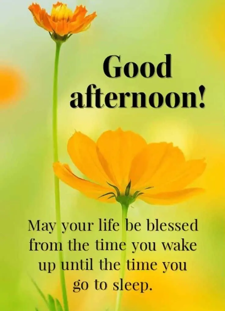 good-afternoon-images-with-quotes9 Good Afternoon Pic