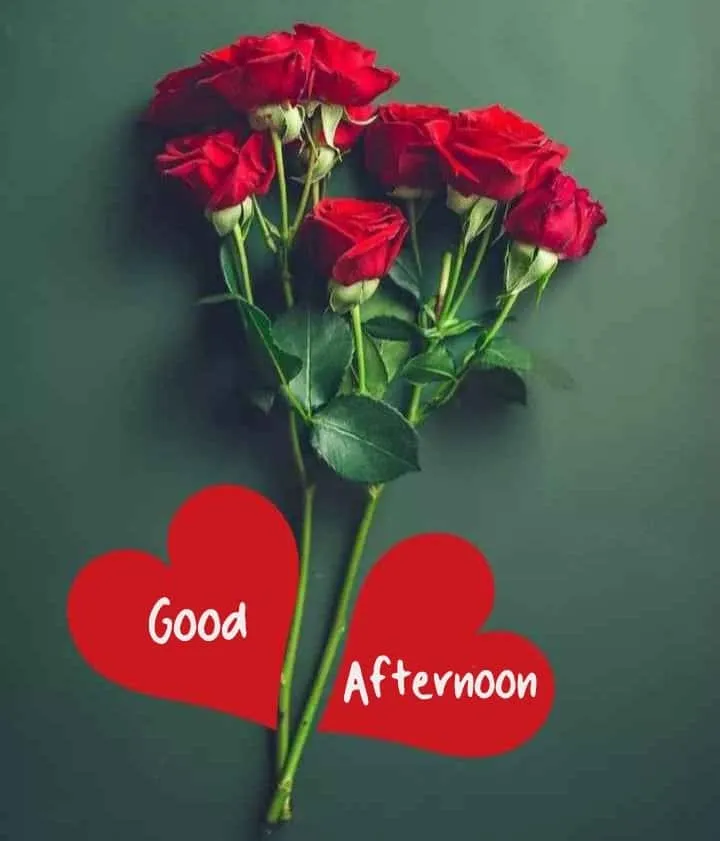 good-afternoon-love-images6 Good Afternoon Love Images