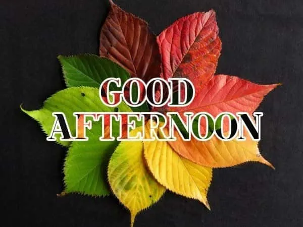 good-afternoon-pic3 Good Afternoon Pic