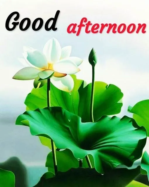 good-afternoon-pic7 Good Afternoon Pic