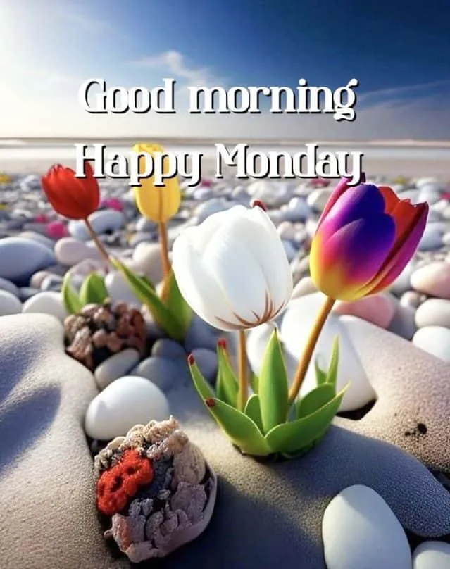good-morning-happy-monday-images-3 Good Morning Happy Monday Images