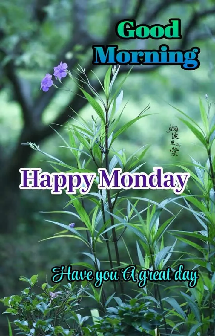 good-morning-happy-monday-images-4 Good Morning Happy Monday Images
