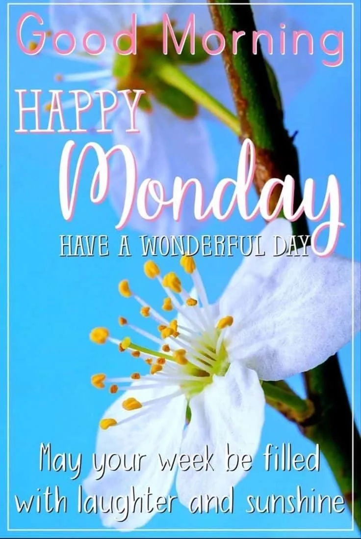good-morning-happy-monday-images-5 Good Morning Happy Monday Images