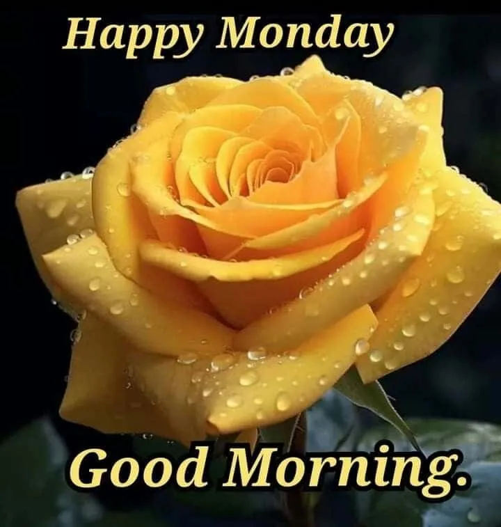 good-morning-monday-images-1 Good Morning Monday Images