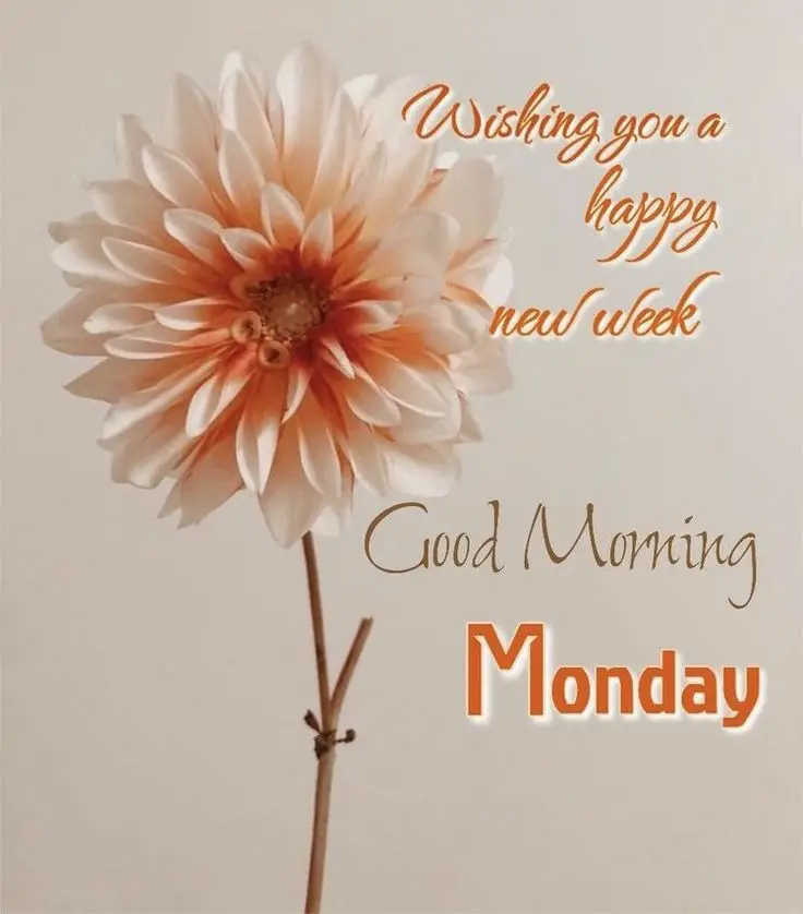 good-morning-monday-wishes-2 Good Morning Monday Wishes