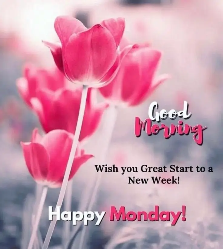 good-morning-monday-wishes-7 Good Morning Monday Wishes