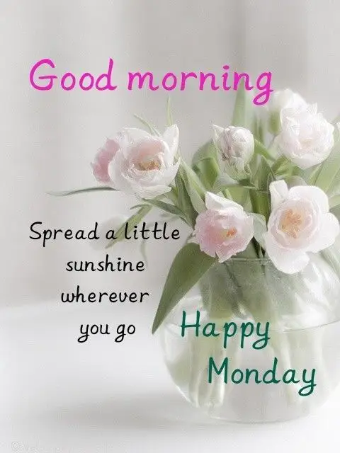 good-morning-monday-wishes-8 Good Morning Monday Wishes