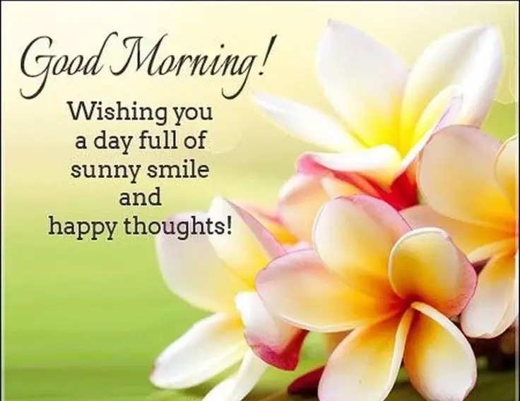 Good Morning Wishes With Flowers