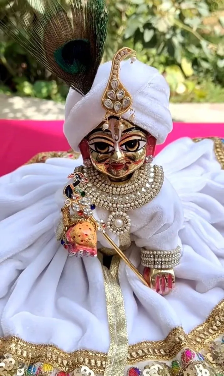 Kanha Ji Ki Photo