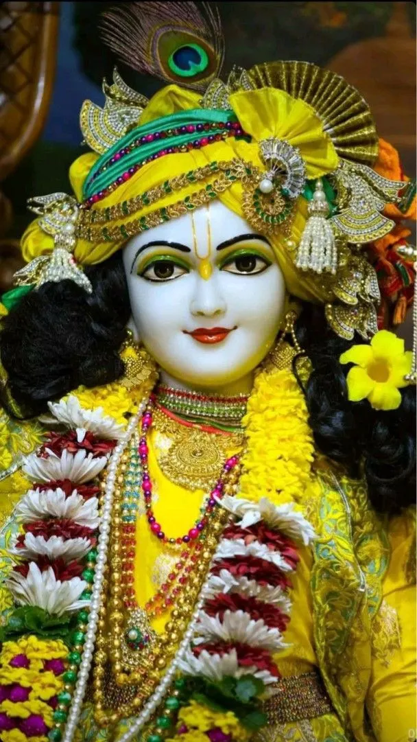Krishna Dp