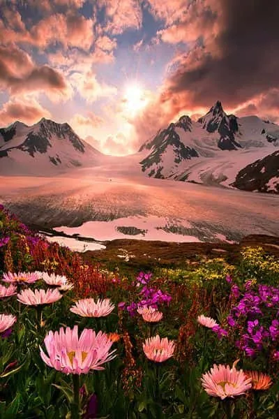 natural-attractive-whatsapp-dp-1 Natural Attractive Whatsapp Dp