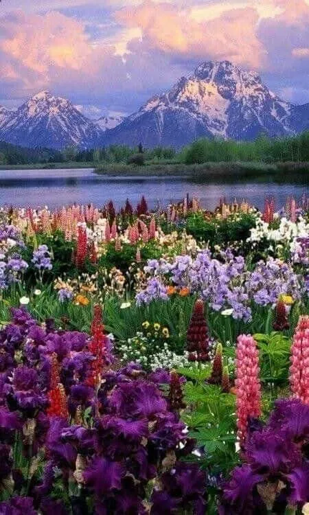nature-dp-for-whatsapp-1 Nature Dp For Whatsapp