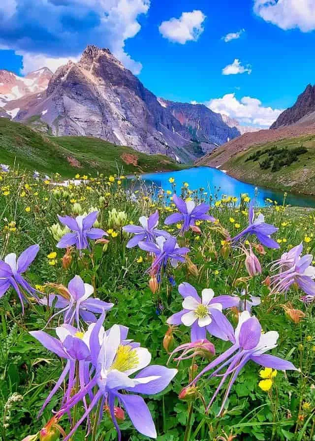 nature-dp-for-whatsapp-2 Nature Dp For Whatsapp