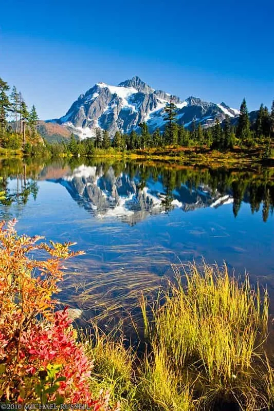 nature-dp-for-whatsapp-6 Nature Dp For Whatsapp