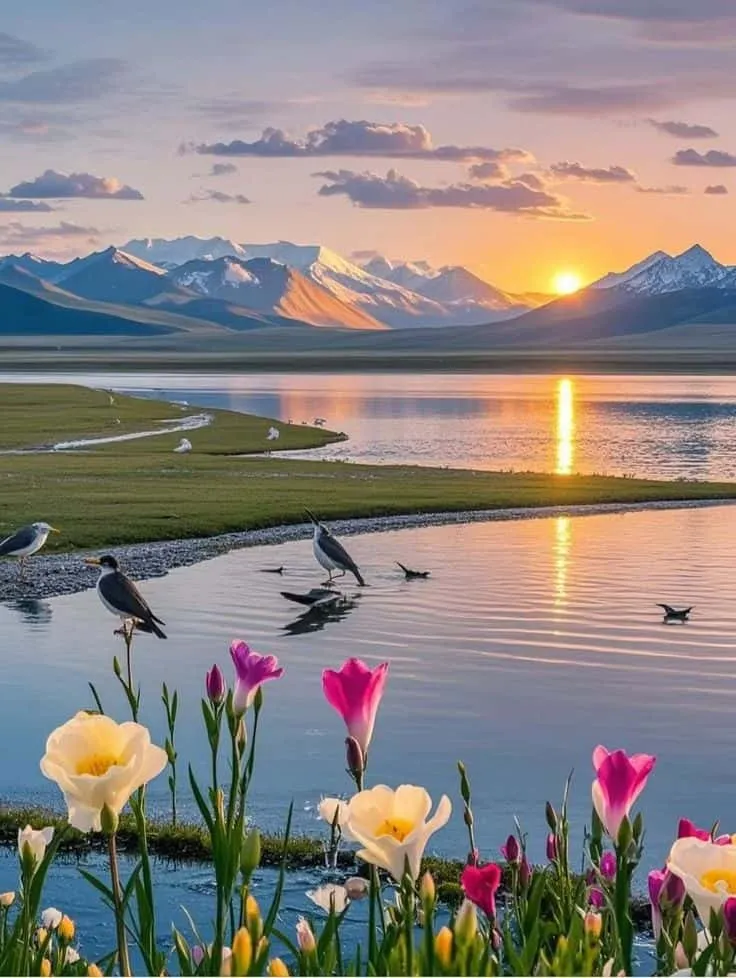 nature-dp-for-whatsapp-8 Nature Dp For Whatsapp